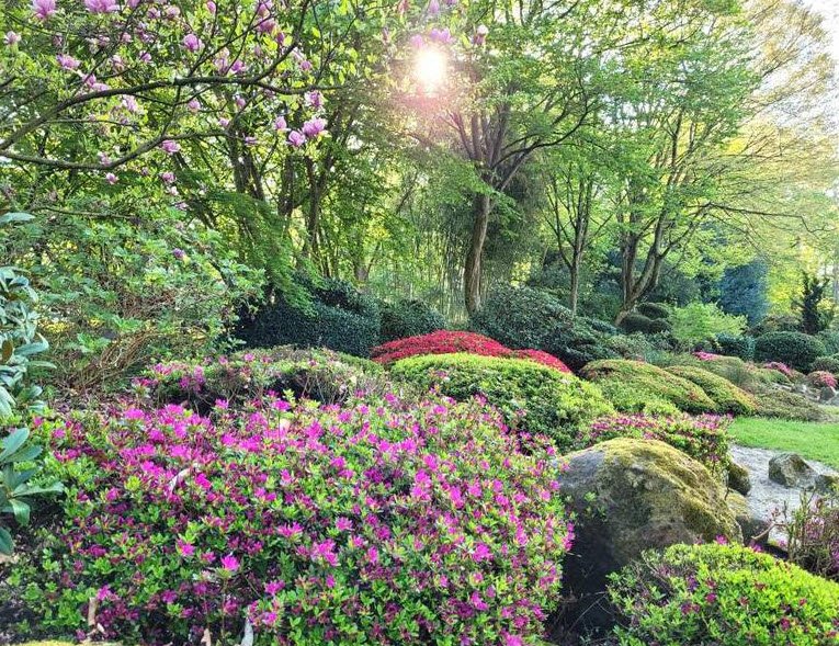 Parc botanique de Launay, Orsay, France, France